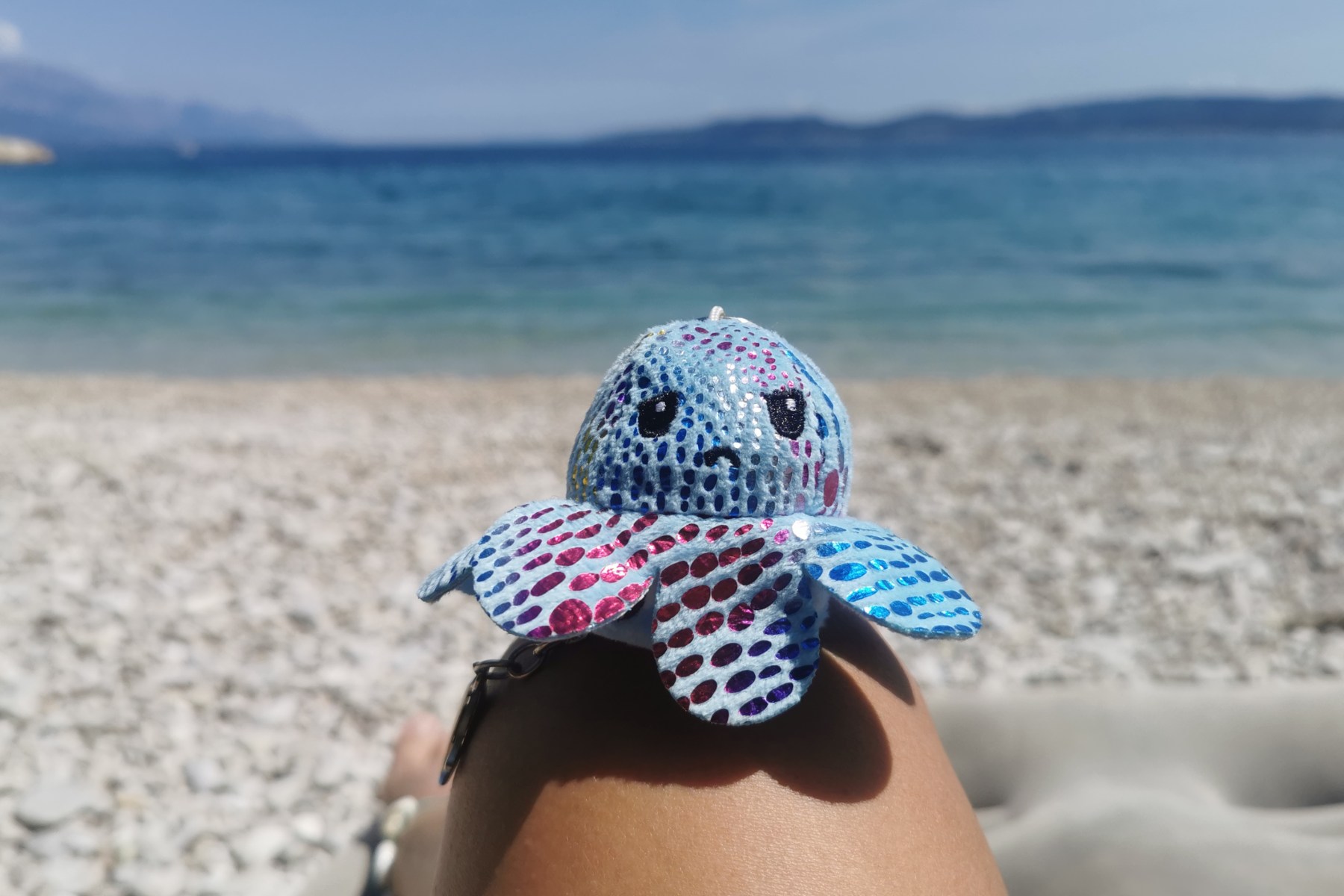 Ein grimmig schauender Stofftier-Oktopus sitzt auf dem Knie einer Badenden am Strand, im Hintergrund das Meer.